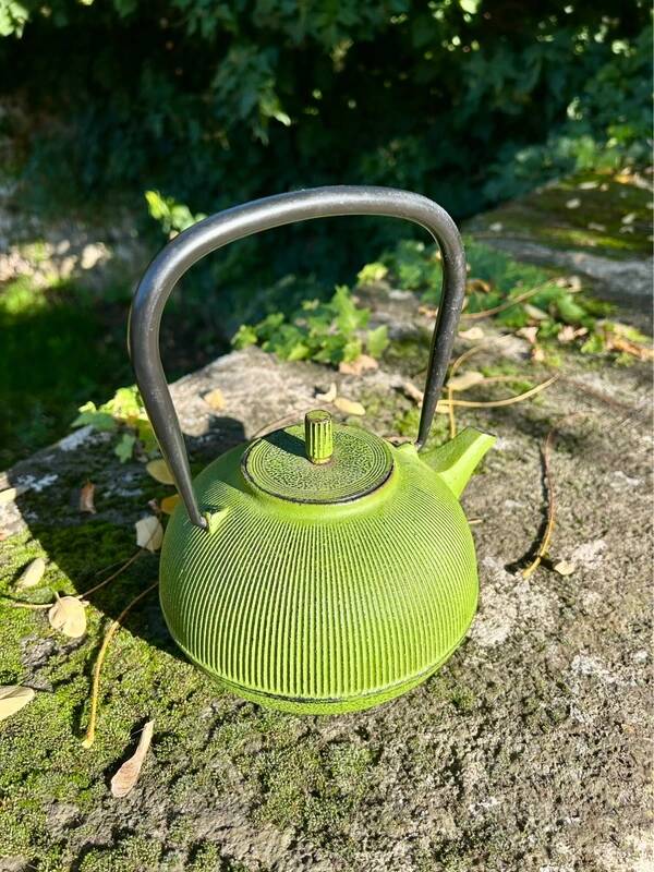Green cast iron teapot