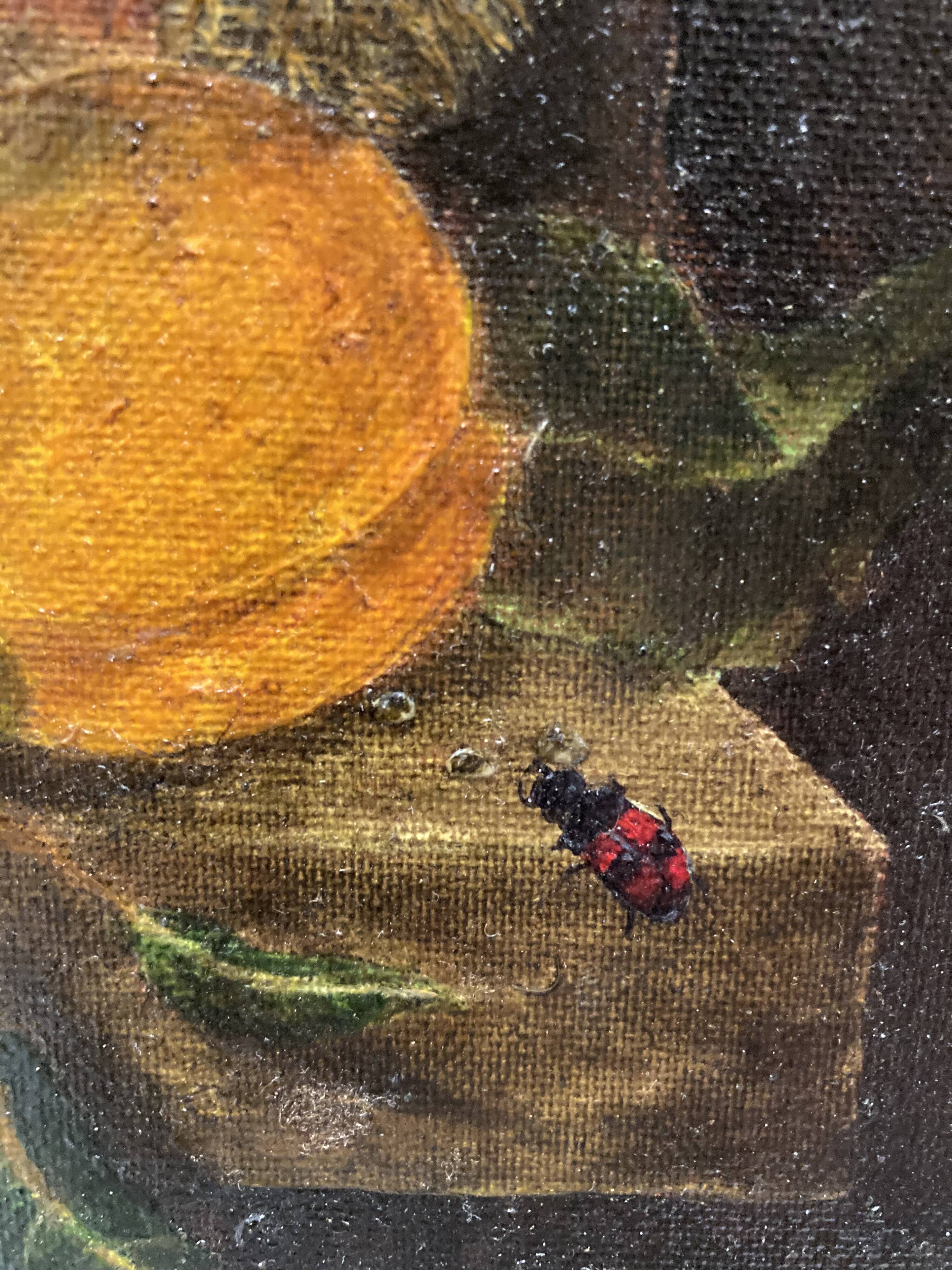 Nature morte aux insectes