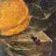 Nature morte aux insectes