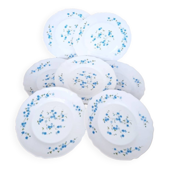 Arcopal forget-me-not plate