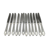 Series 12 entremets knives in silver metal reneka stainless steel blade
