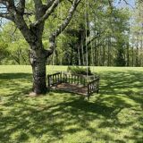 Black lacquered teak rocking chair