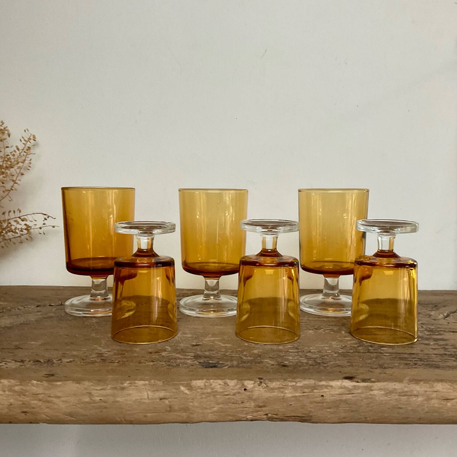 6 LUMINARC amber "rider" glasses