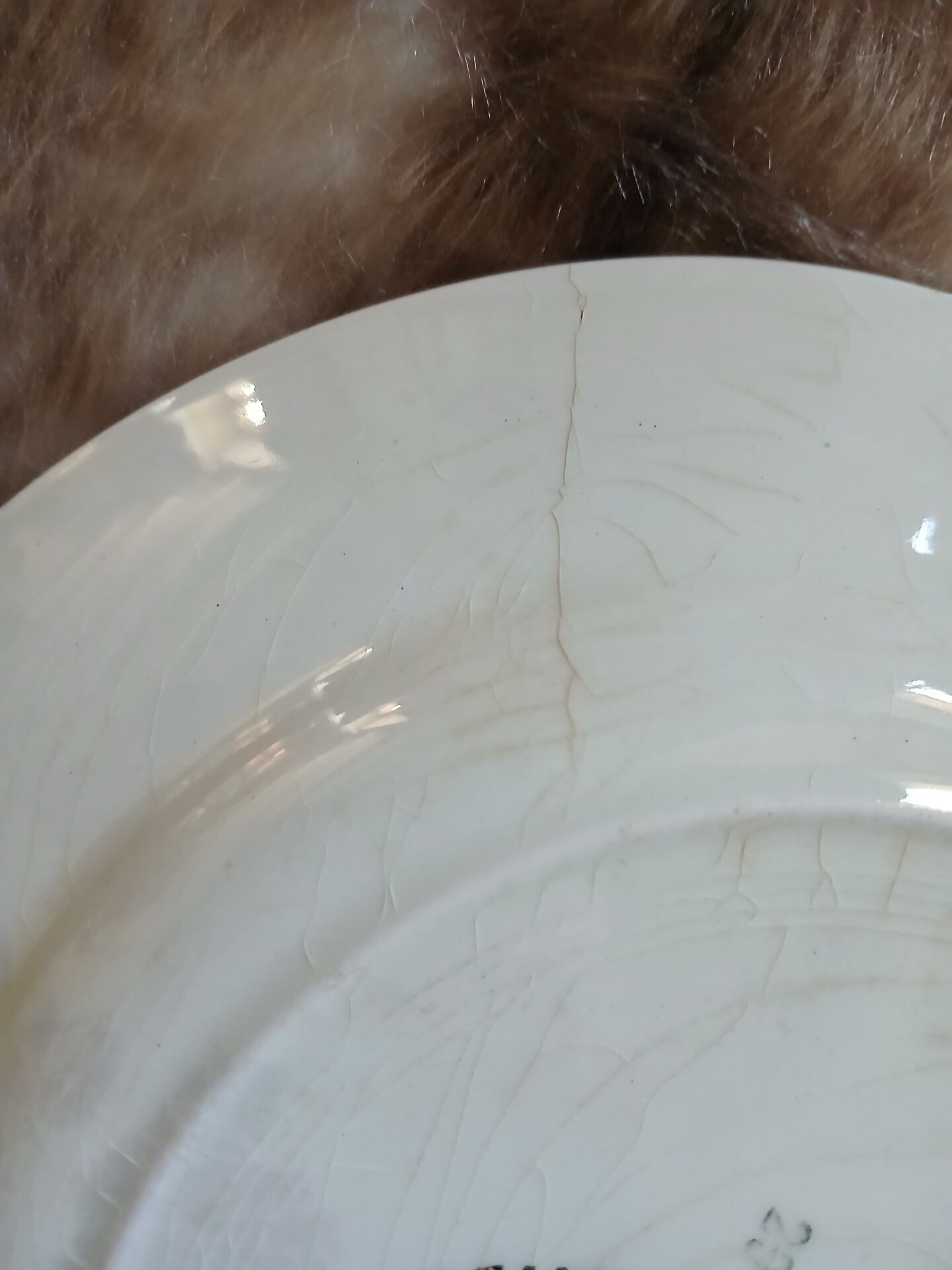6 assiettes plates anciennes "Michel " de Gien