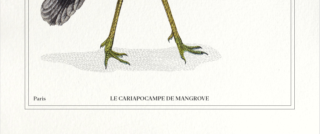 Lithograph chimeric engraving animal - the cariapocampus