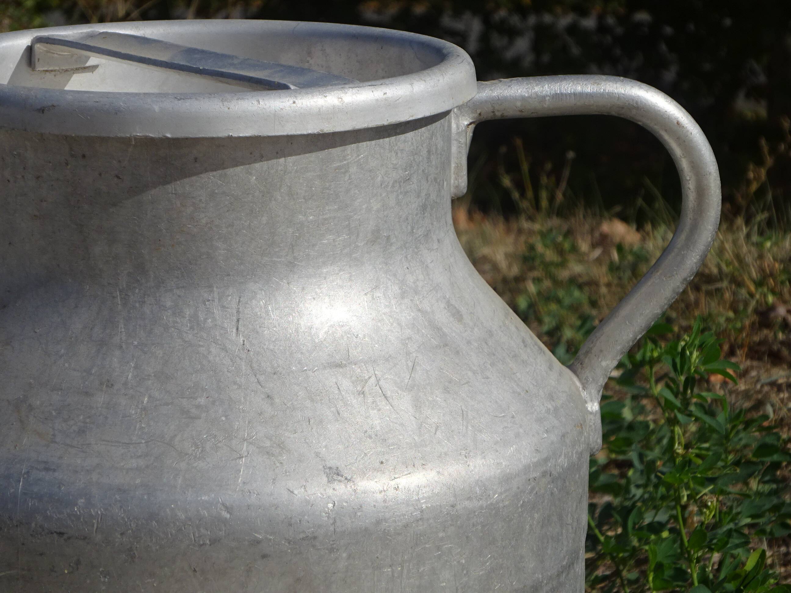 Old milk jug, 20L, Japy
