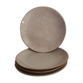 4 stoneware plates