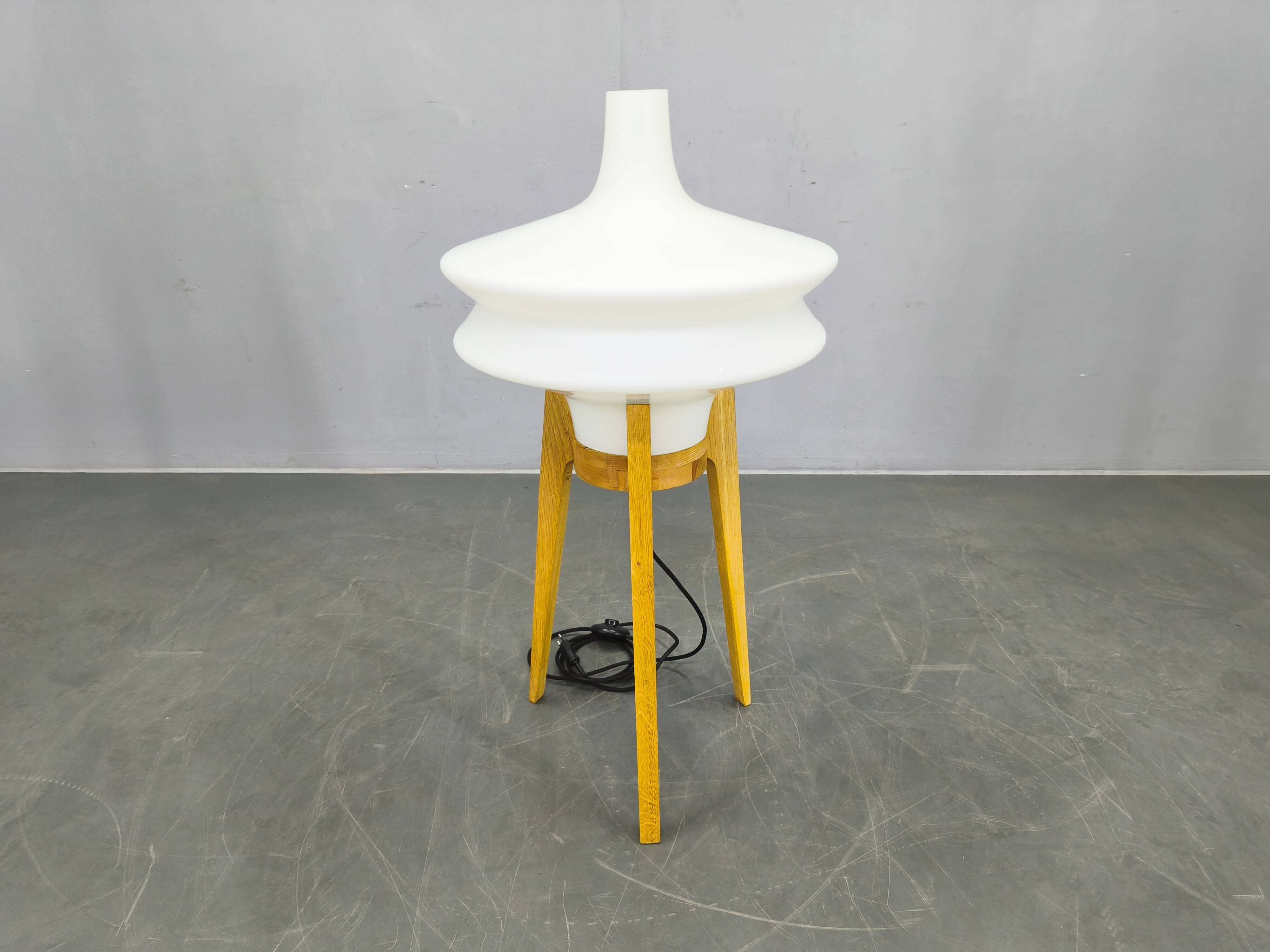 Mid Century Sculptural Floor Lamp with Glass Shade, 1970s