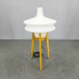 Mid Century Sculptural Floor Lamp with Glass Shade, 1970s