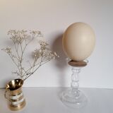 Ostrich egg