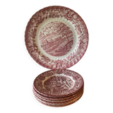 Old country castle dish