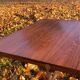 Coffee table by Sven Ellekær (very rare)