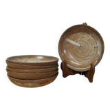 6 stoneware plates