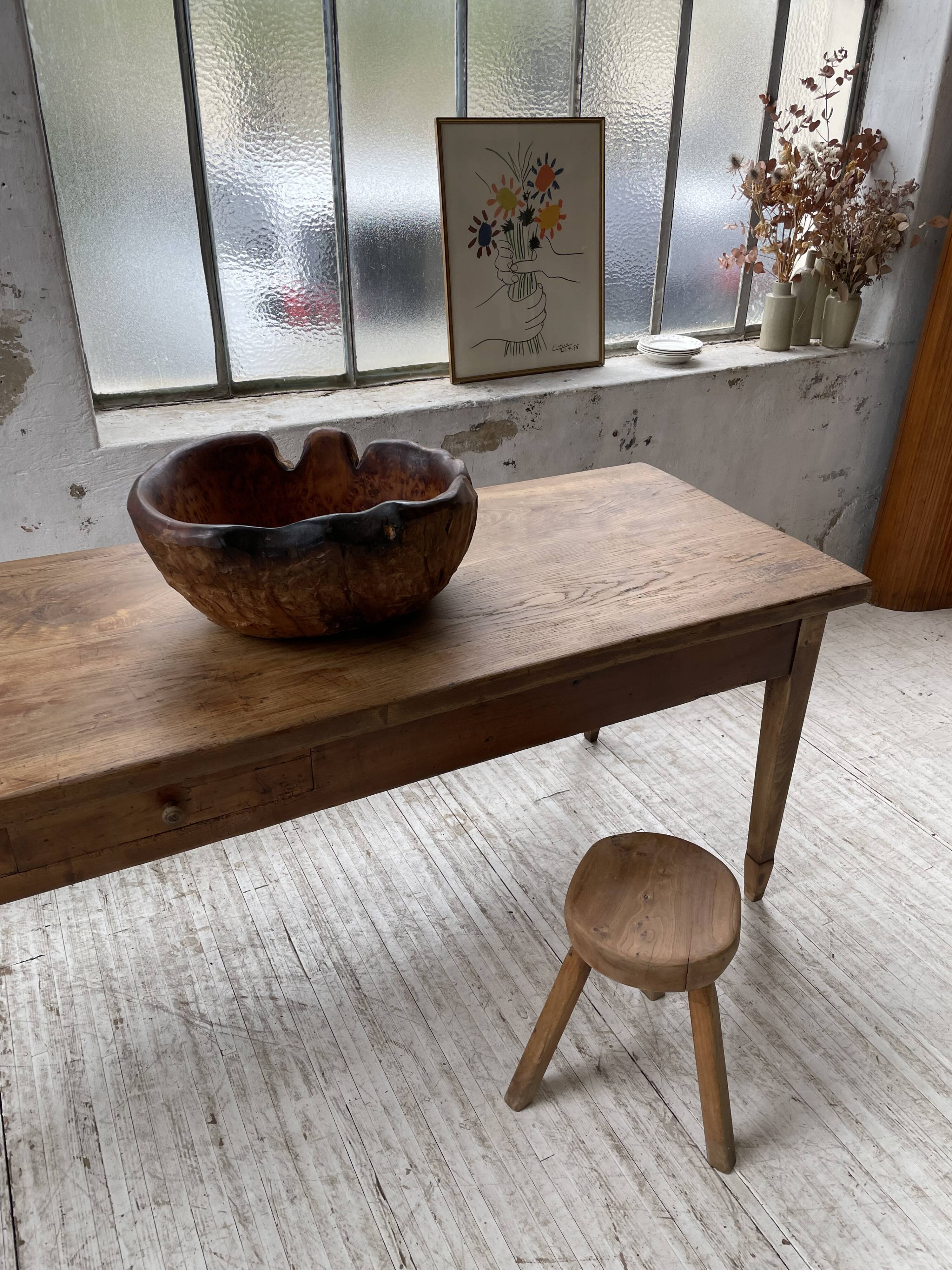 XL thuja root wooden dish