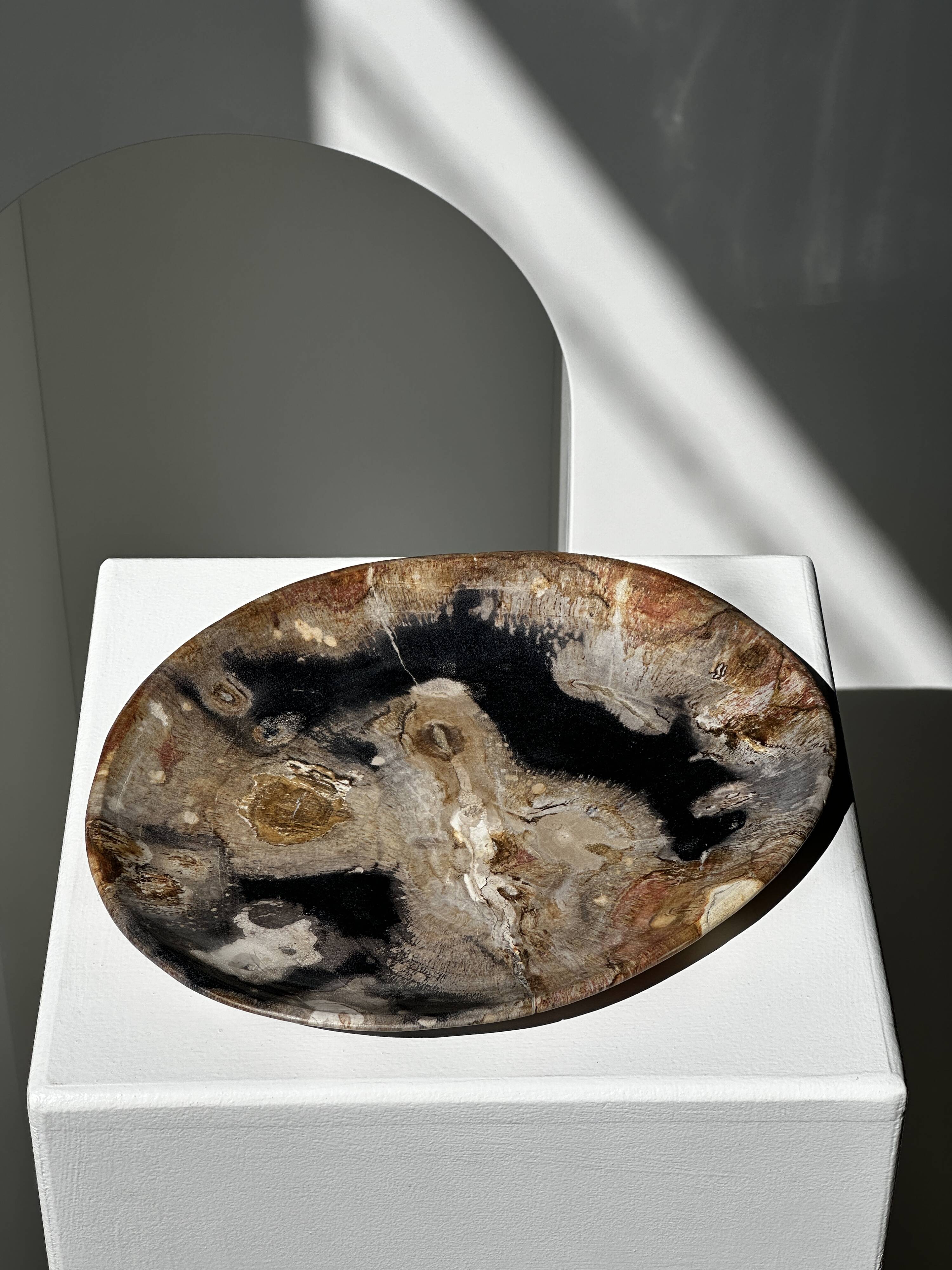 Large empty pocket or dish in petrified wood
