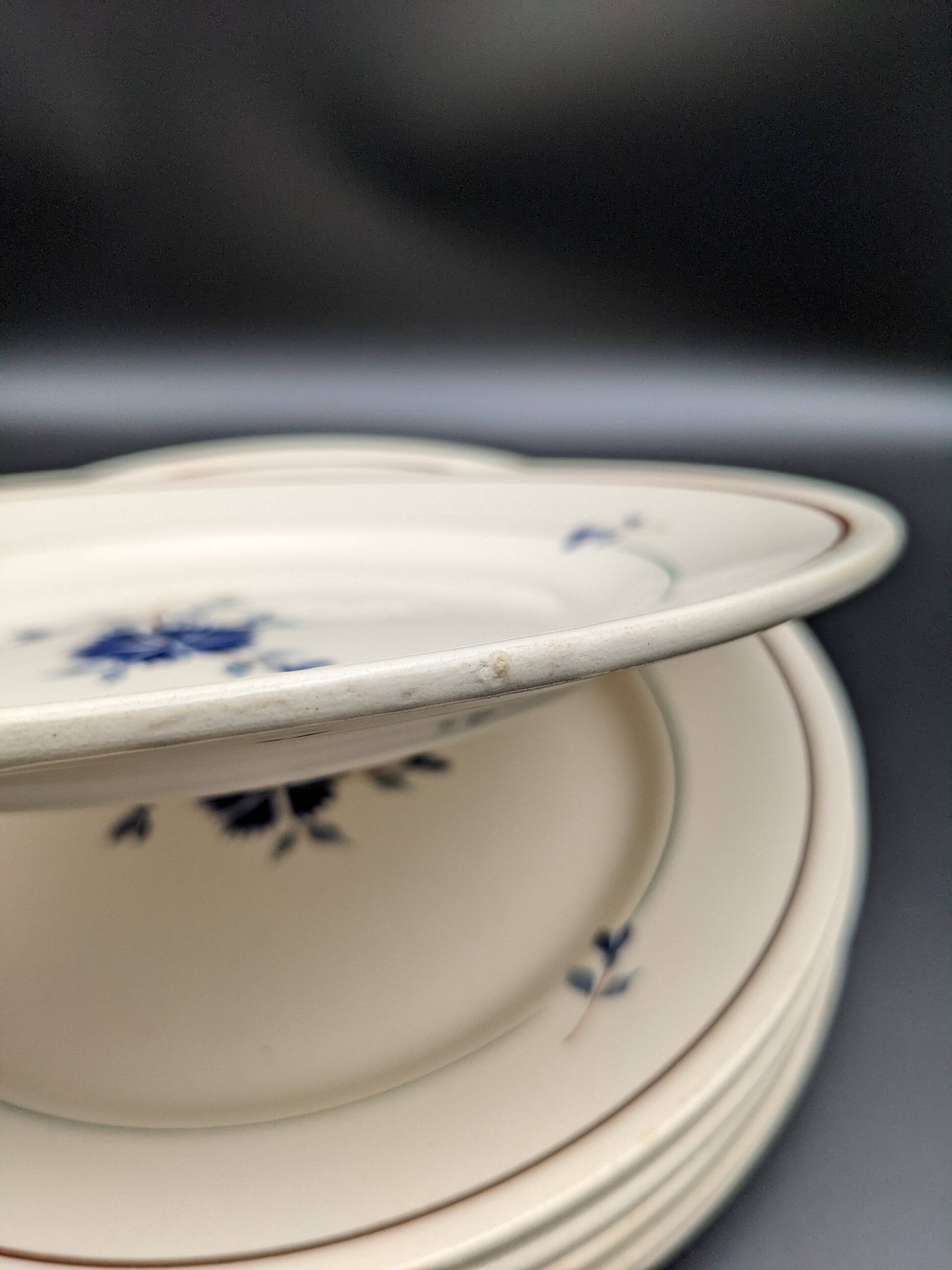 lot 6 flat plates Saint Amand model Prisca flowers