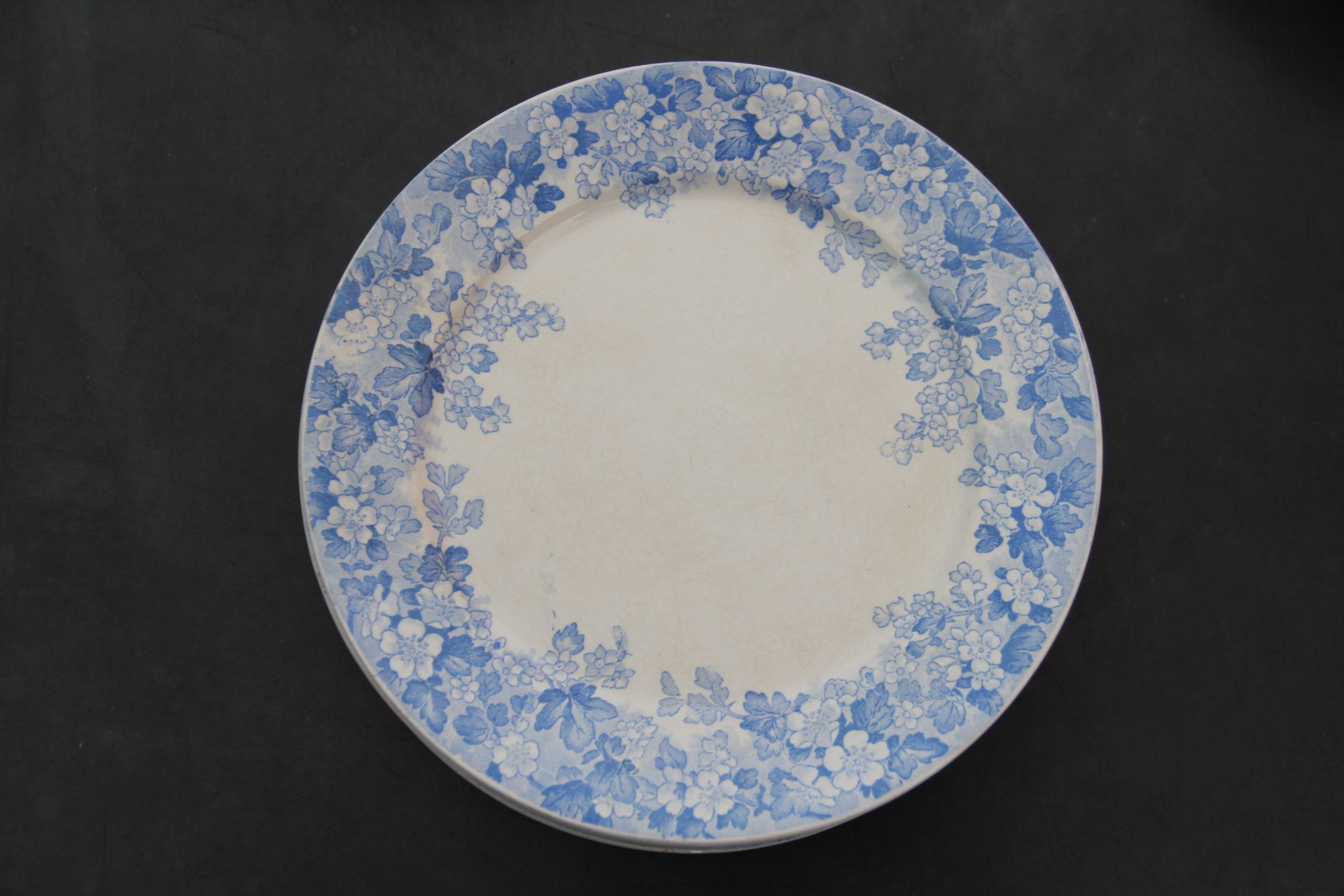 Rare plate service 6 people "Récamier" U&C Sarreguemines and Digoin late nineteenth °