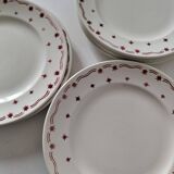 Céranord Saint Amand plates star model