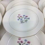 12 antique dessert plates made in France Digoin Sarreguemines