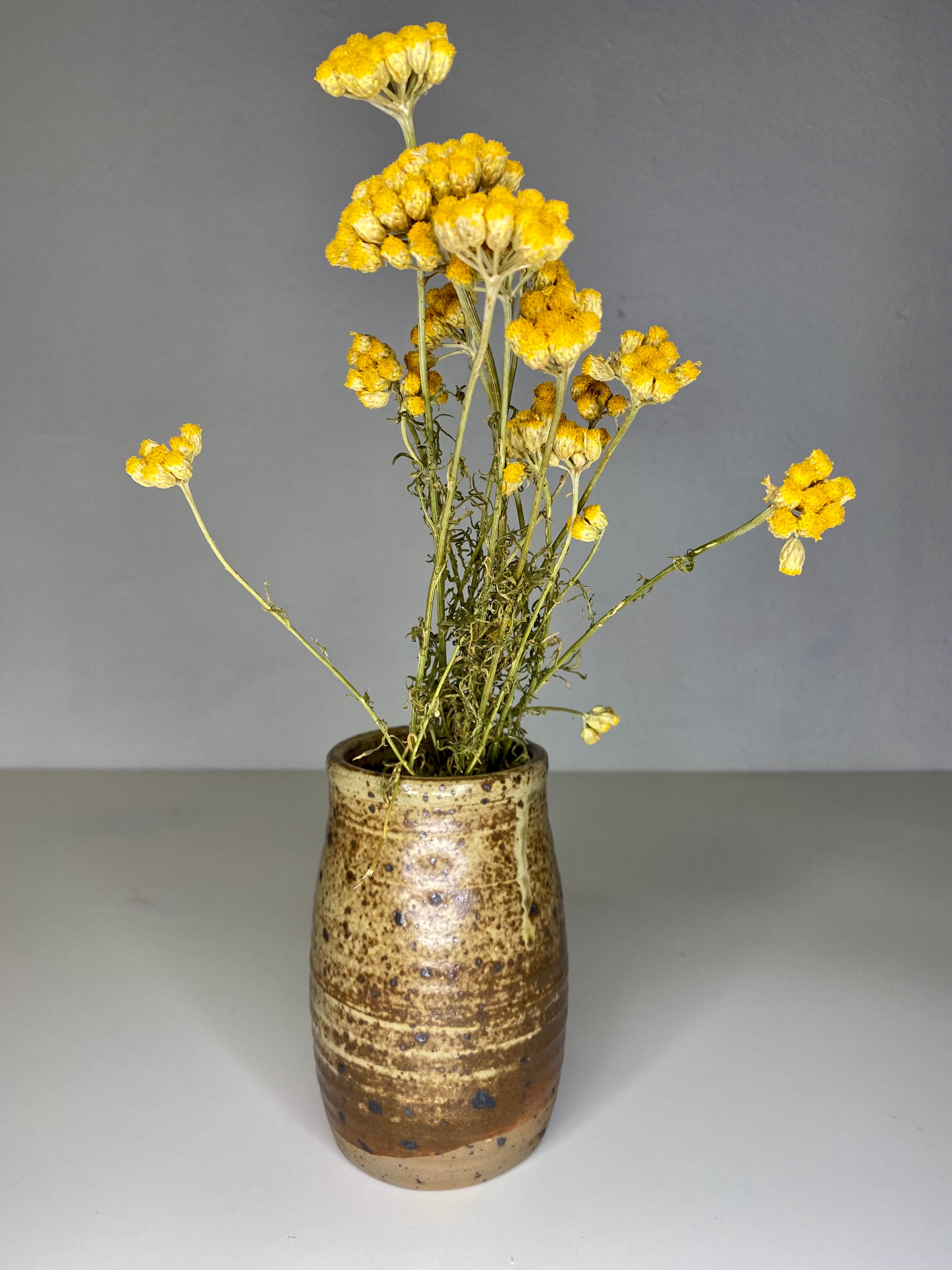 Small speckled sandstone pot