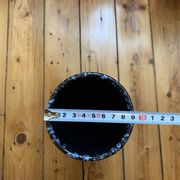 Vintage West Germany Fat Lava Vase