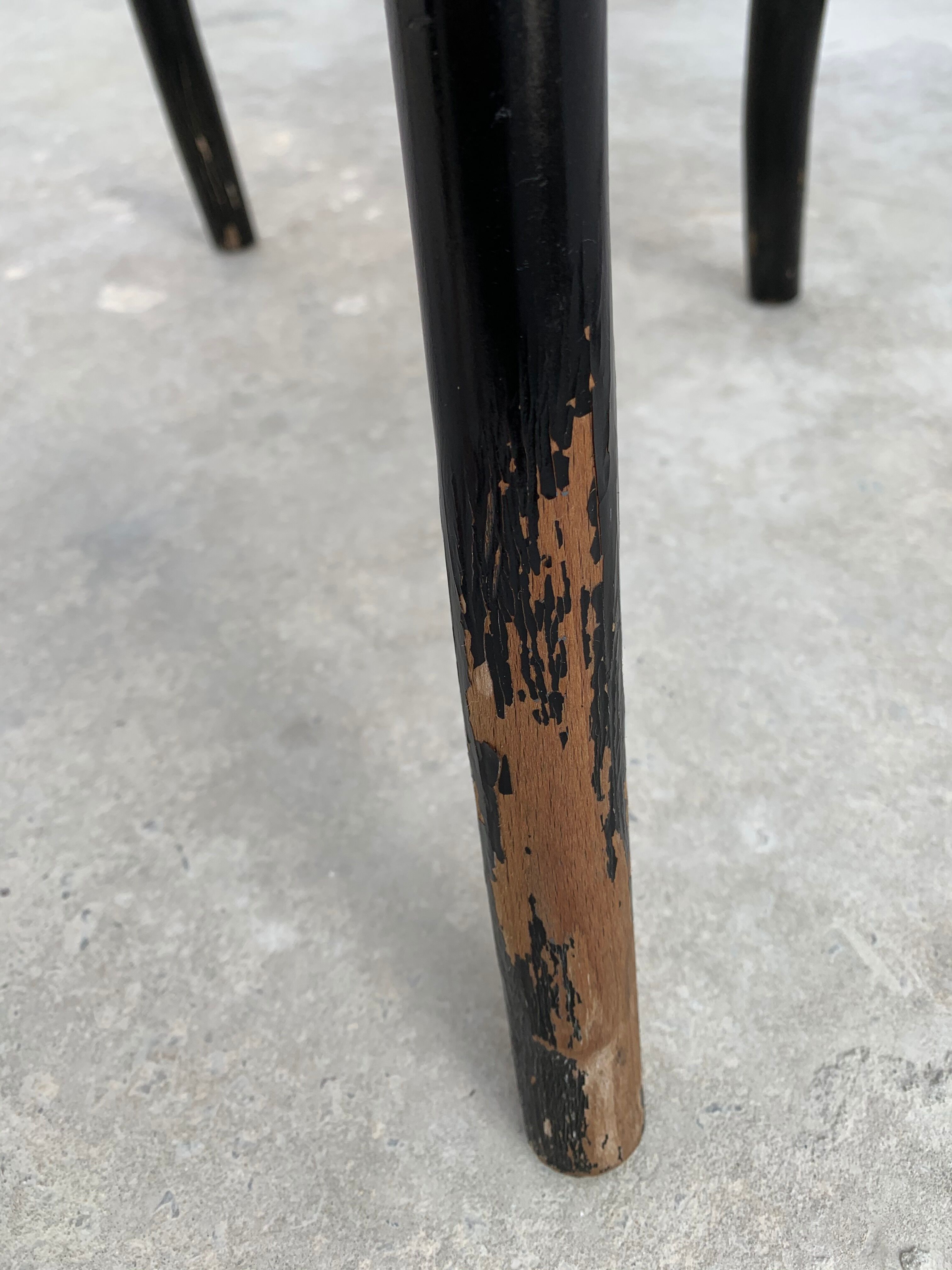 Tuna chair model 1018 in black curved wood and canning 1930