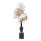 Murex shell on a turned blackened wooden base, 19th century.