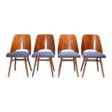 Set of 4 TON 514 chairs, Oswald Haerdtl, Czechoslovakia, 1950s