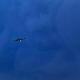 Blue Photography