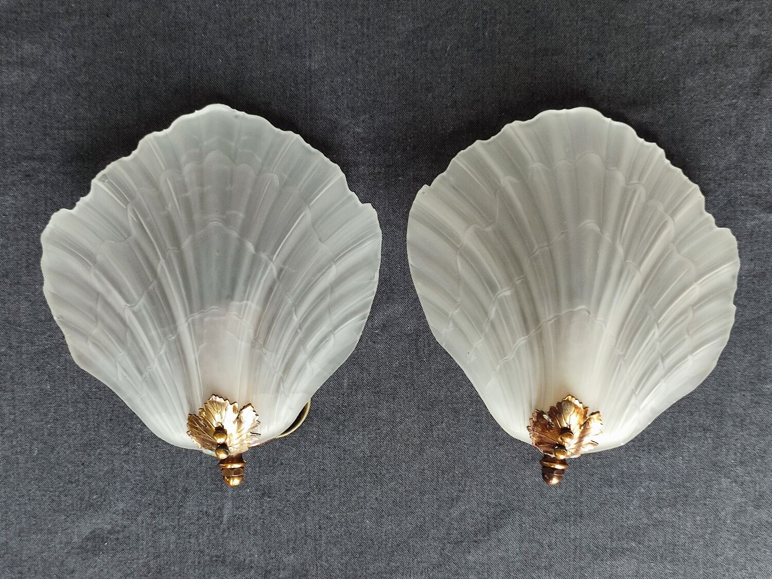 Pair of vintage shell wall lamp