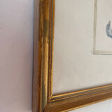 Zoological plate by François Martinet