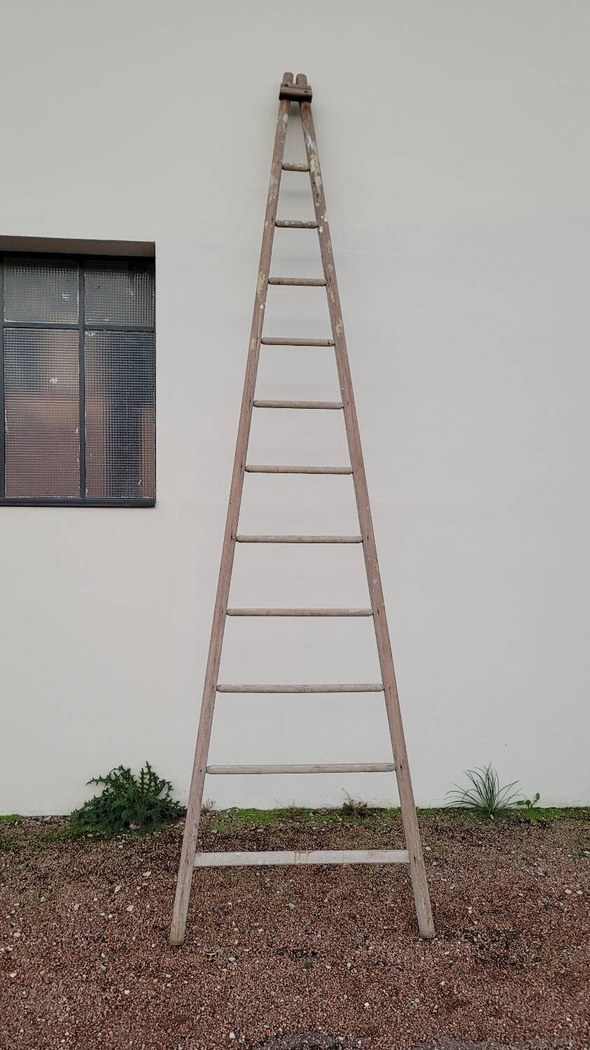 Old wooden fruit harvest market gardener's ladder - 3m65