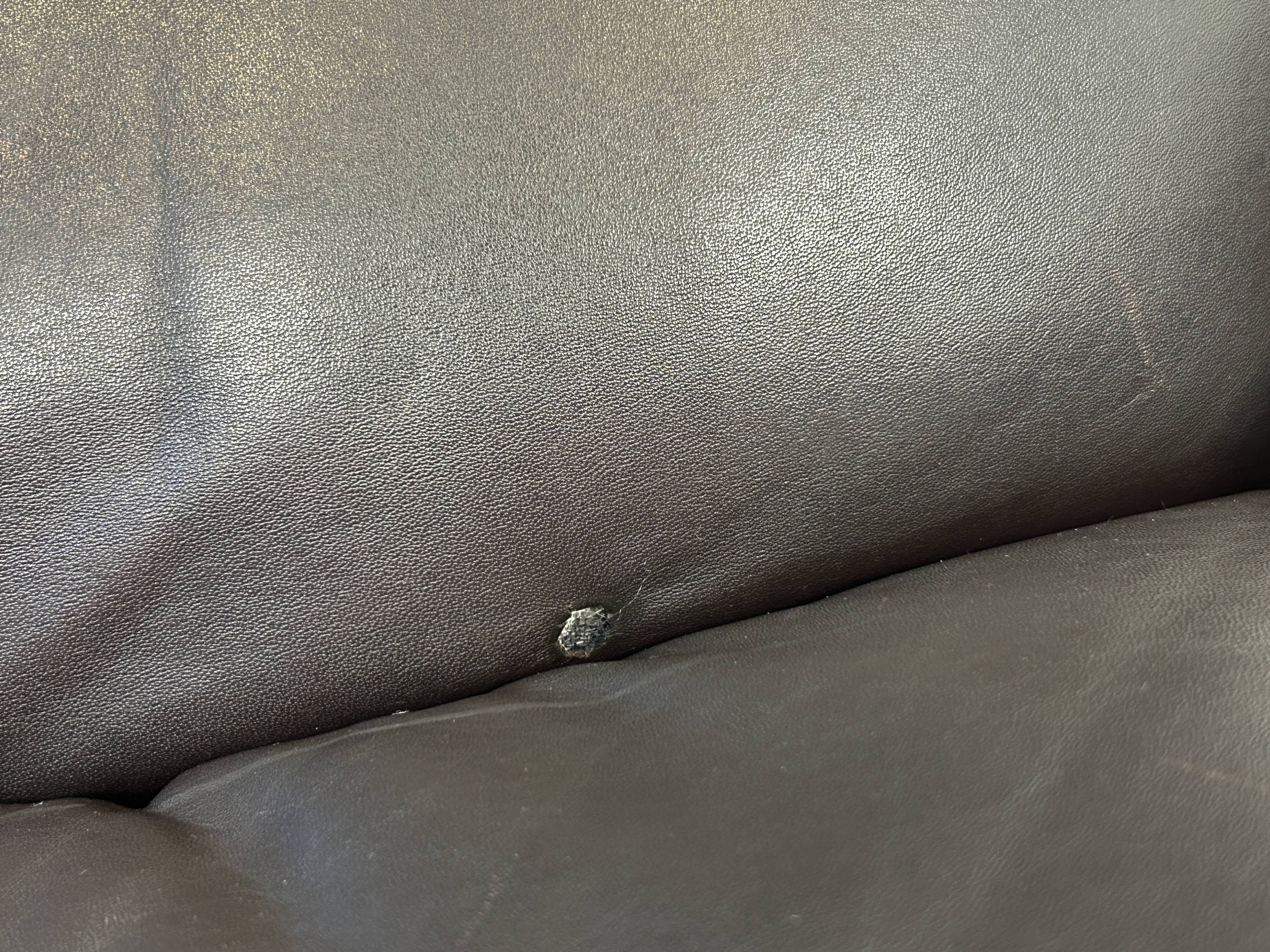 Fauteuil de Sede DS-49