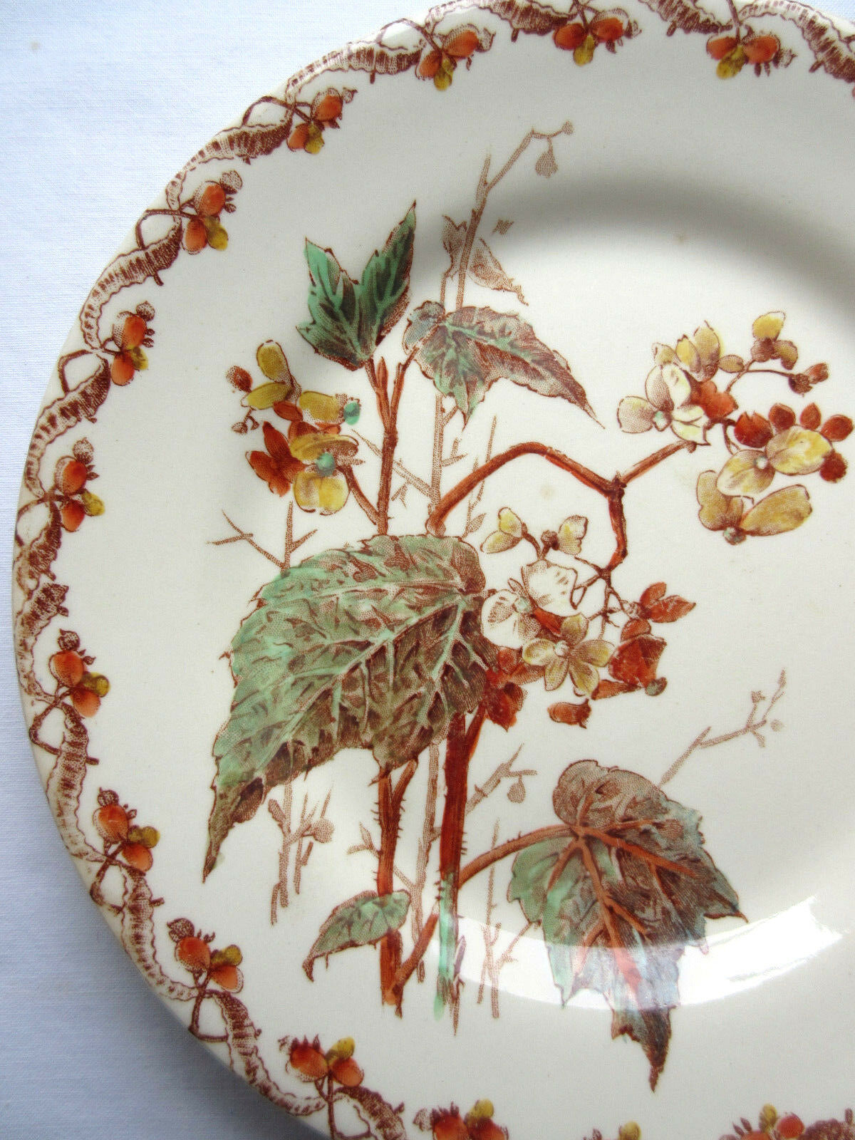 Art Nouveau plate, GIEN polychrome opaque porcelain, Bégonias