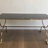 Neoclassical brass style coffee table with dolphin head decoration