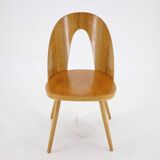 Chaise Antonin Suman des années 1960 en noyer, Tchécoslovaquie