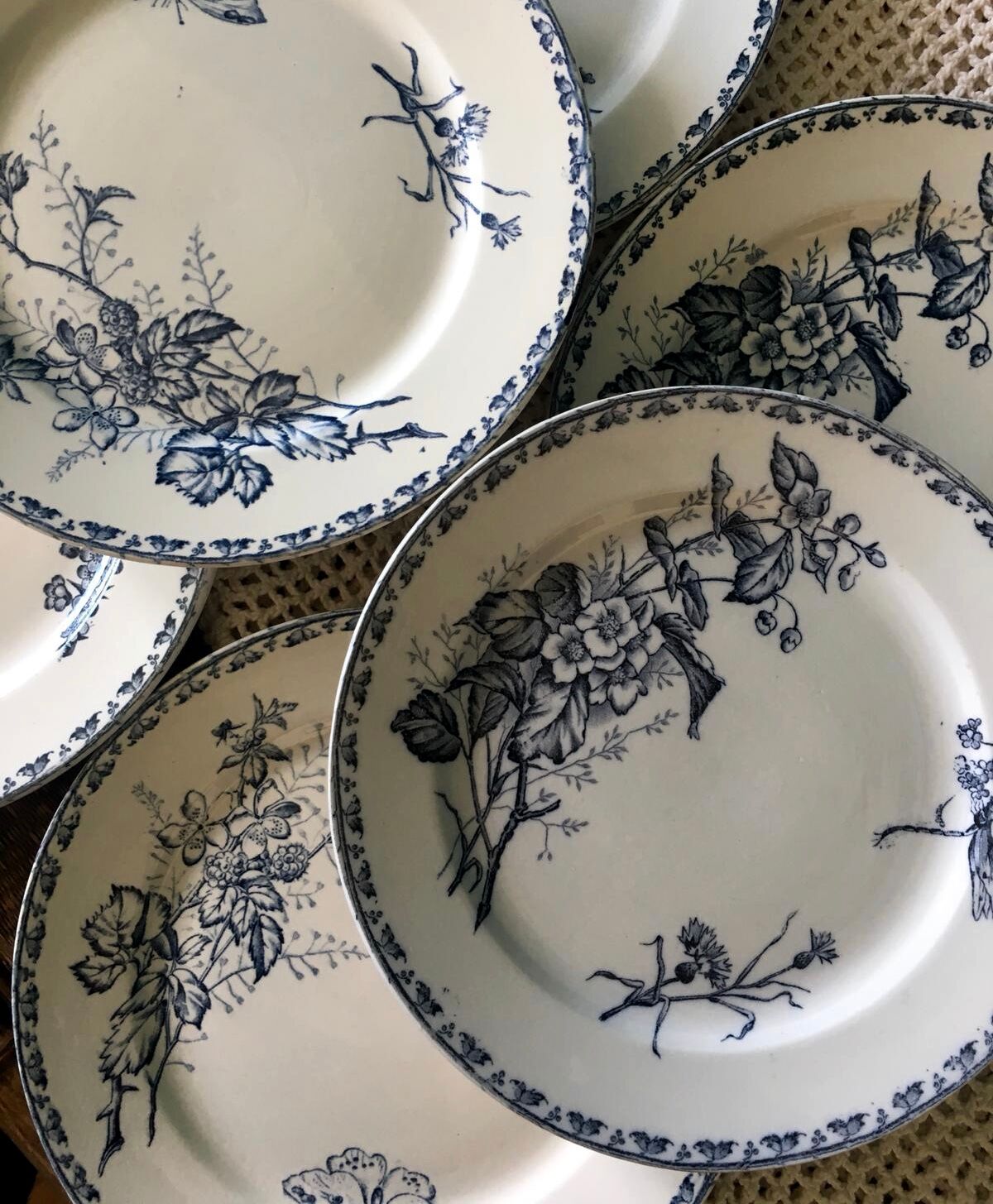 Set de 6 assiettes Sarreguemines terre de fer modèle Carmen
