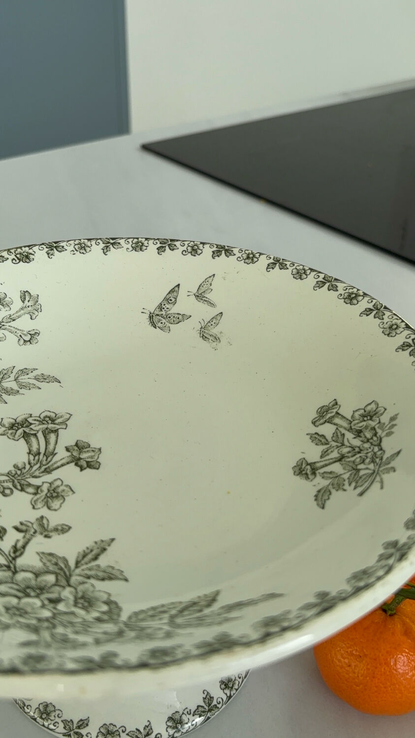 French ironstone fruit bowl, St Amand, Denise model