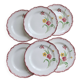 6 vintage ironstone dinner plates Salins model Pierrette