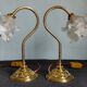 Paire de lampe col de cygne vintage
