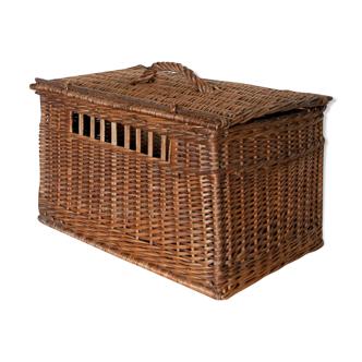 Wicker trunk