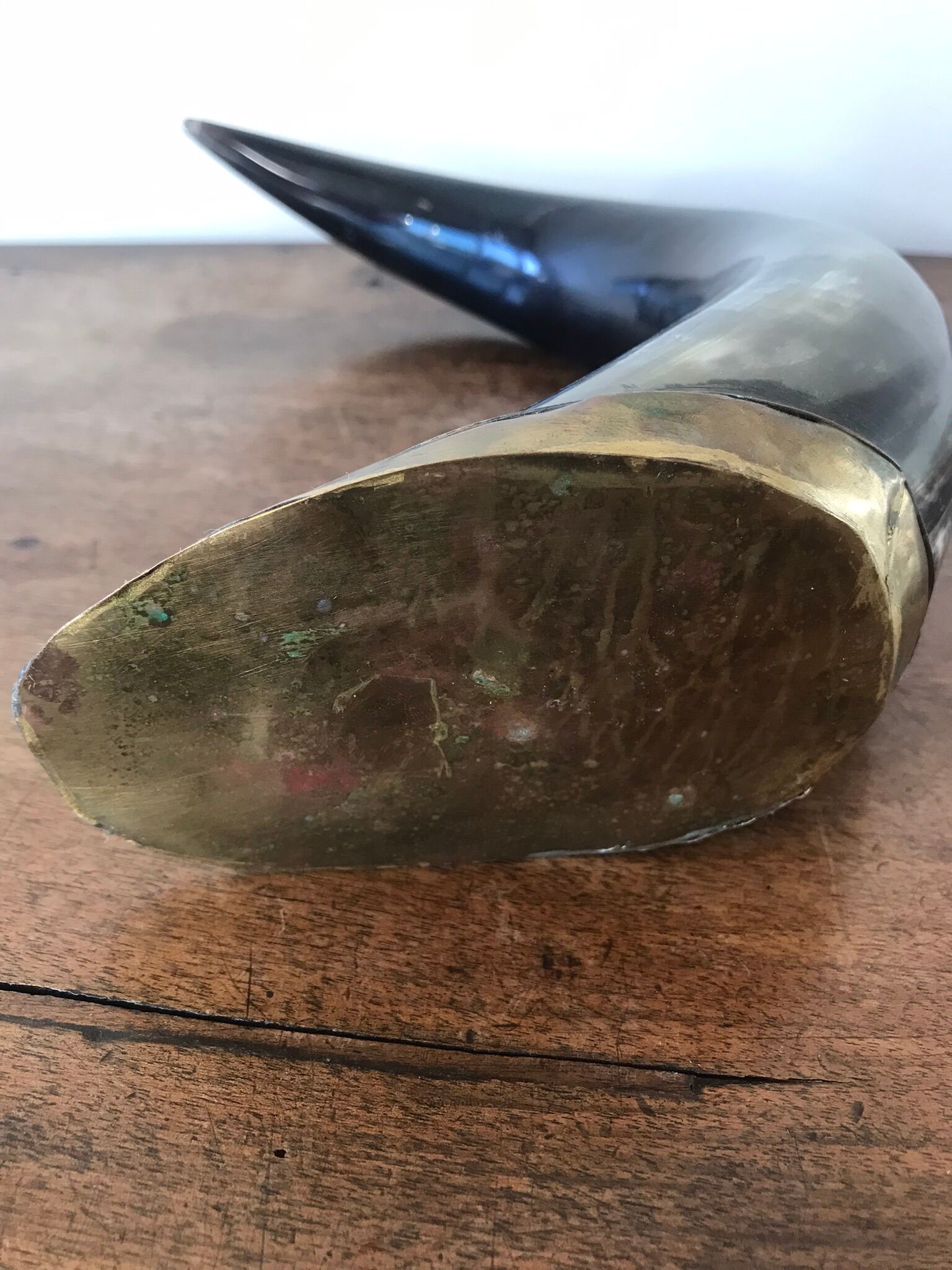 Polished beef horn on brass base