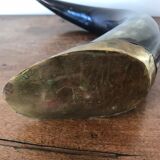 Polished beef horn on brass base