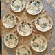 Victorian plate set by Brownfield & Sons model "Texas" England 1880