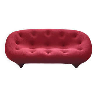 Ligne Roset designer sofa Ploum model