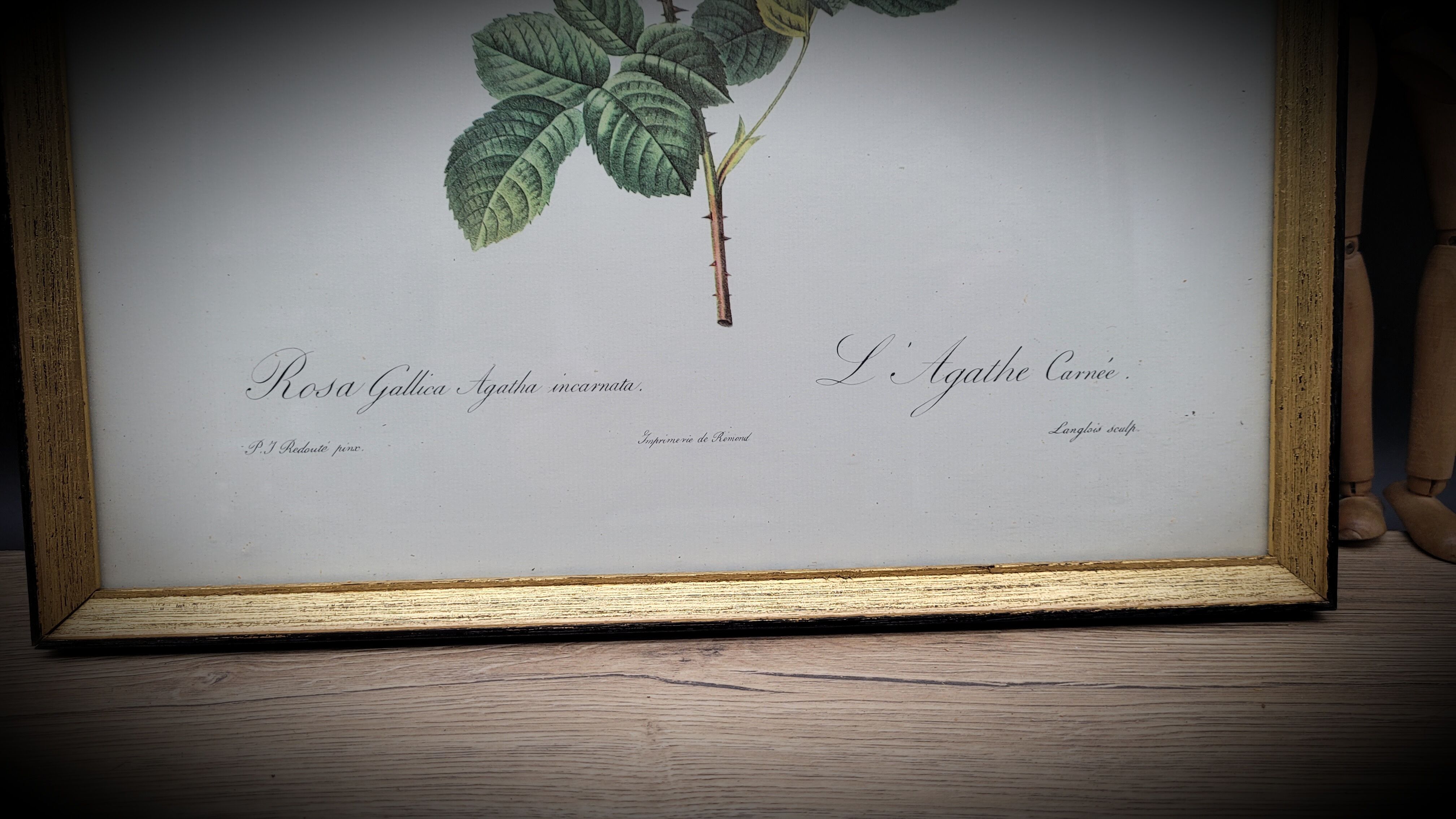 Lithograph under frame rose agathe meat