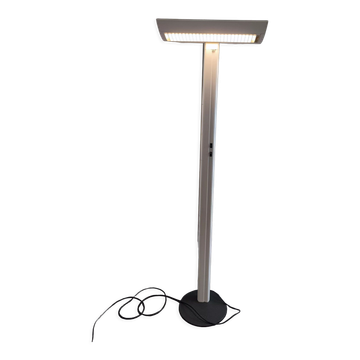 Radian industrial floor lamp