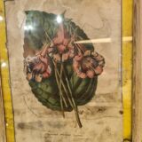 Floral engraving late 18th