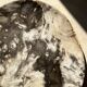 Very large pocket or dish in petrified wood