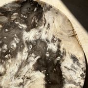 Très grand vide poche ou plat en bois pétrifié
